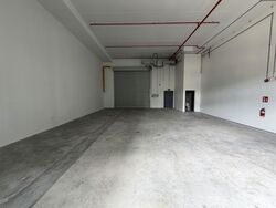 Ct Foodnex (D25), Factory #559169871